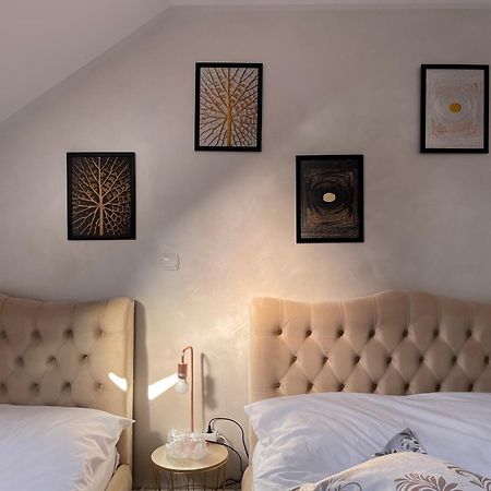 Casa Cu Pitici Guest House Vama  Luaran gambar