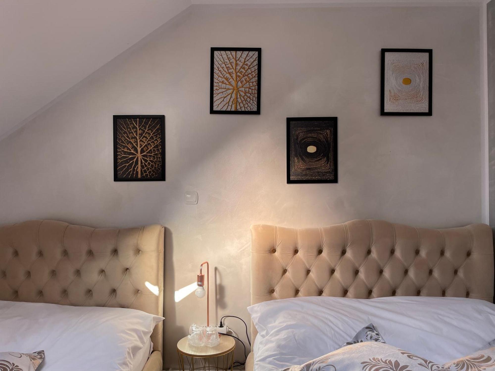 Casa Cu Pitici Guest House Vama  Luaran gambar