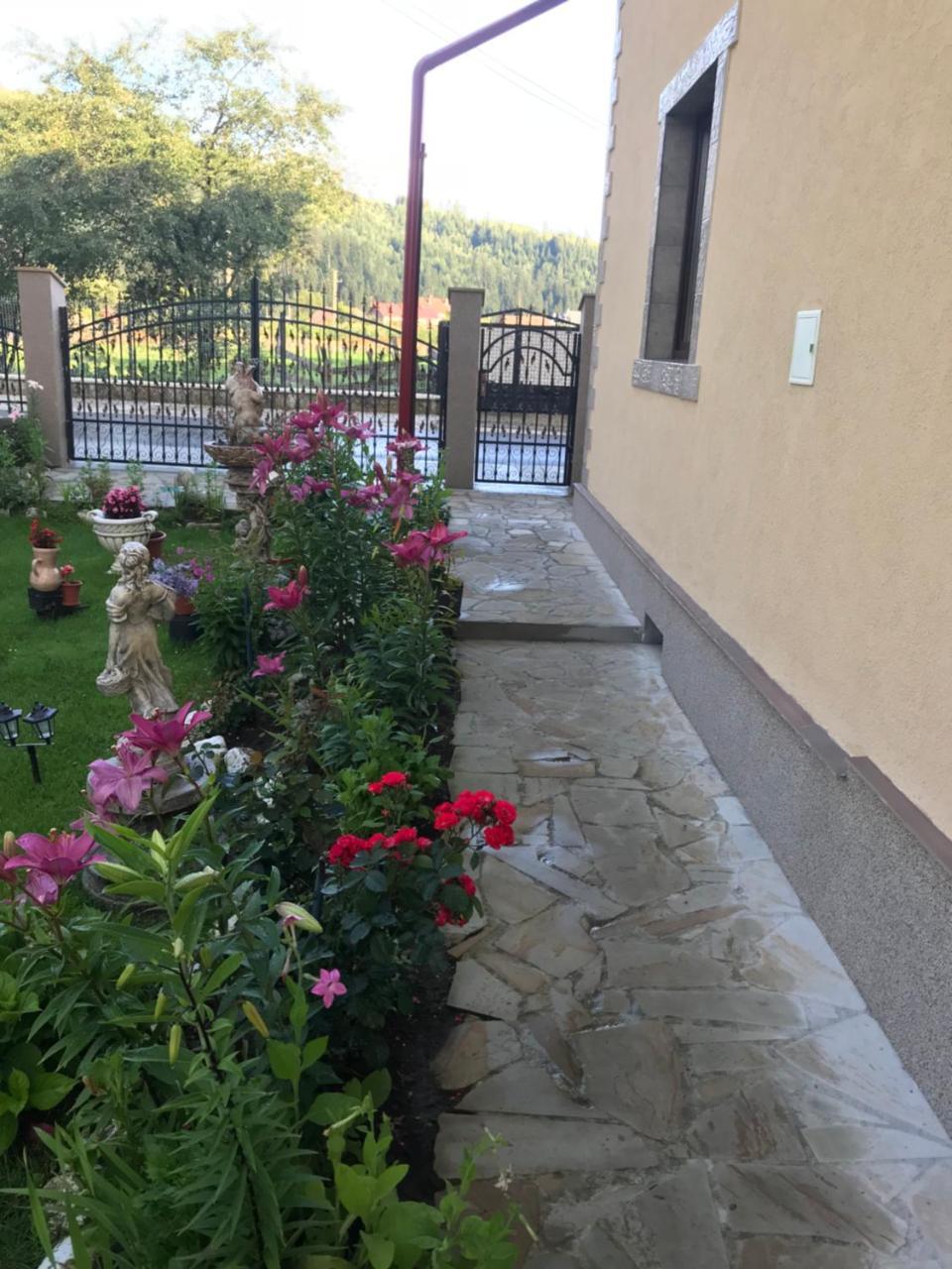 Casa Cu Pitici Guest House Vama  Luaran gambar